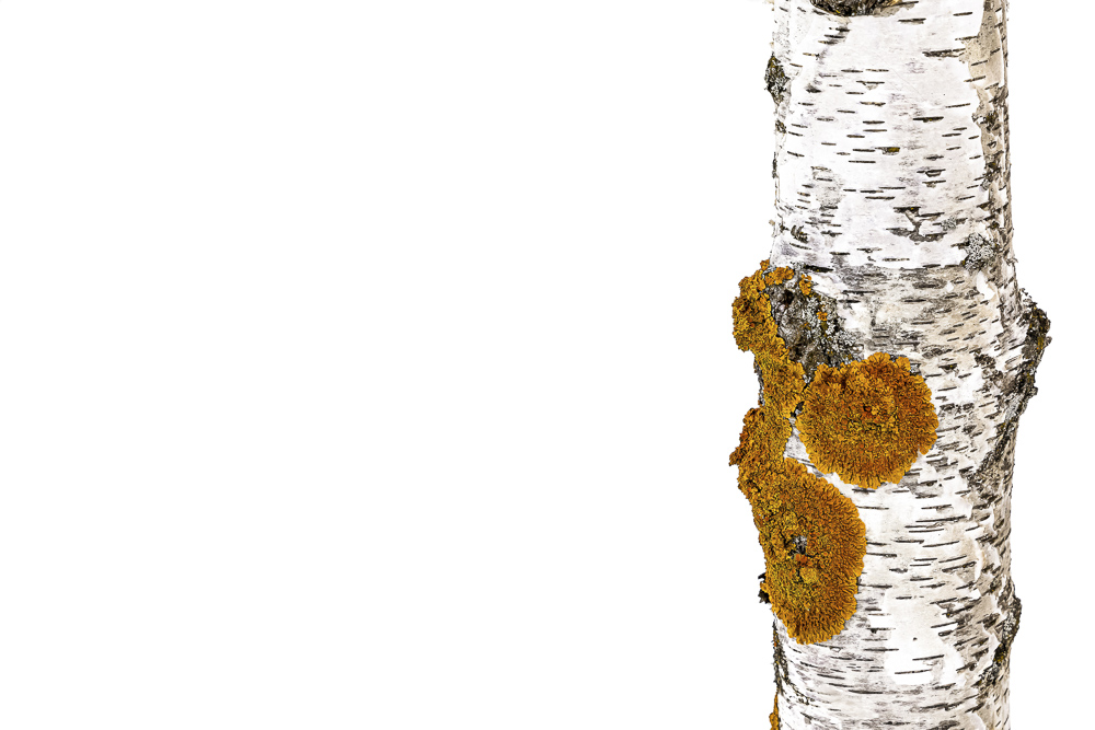 Platz 7 Conny Kleiner